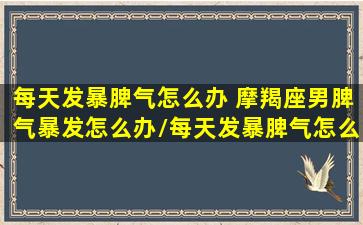 每天发暴脾气怎么办 摩羯座男脾气暴发怎么办/每天发暴脾气怎么办 摩羯座男脾气暴发怎么办-我的网站